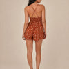 272605 COCCIO 03_back